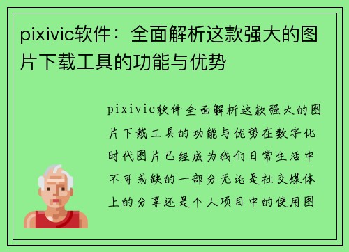 pixivic软件：全面解析这款强大的图片下载工具的功能与优势